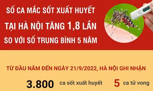 Hà Nội: Số ca mắc sốt xuất huyết tăng 1,8 lần so với số trung bình 5 năm