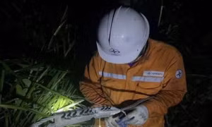 Hệ thống truyền tải điện quốc gia được đảm bảo an toàn sau bão số 5
