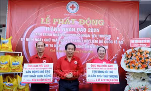 Tháng Nhân đạo năm 2024: Kết nối nguồn lực xây dựng cộng đồng nhân ái