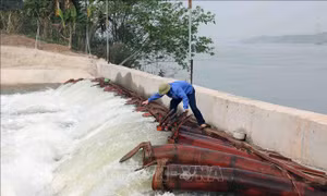 Lấy nước vụ Đông Xuân 2023-2024: Tiết kiệm 0,72 tỷ m3 nước