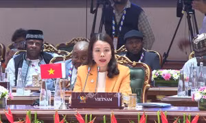 Việt Nam sẵn sàng thúc đẩy kết nối BRICS với khu vực châu Á - Thái Bình Dương