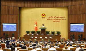 Xác lập cơ chế, chính sách đột phá thúc đẩy phát triển đô thị