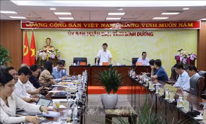 Bình Dương: Giữ vững đà tăng trưởng, phát huy hiệu quả thu hút đầu tư 