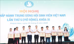 Lấy phong trào tình nguyện và sự trưởng thành làm thước đo chất lượng