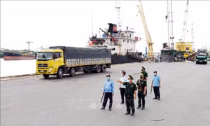 Người lính quân hàm xanh ở Thành phố Hồ Chí Minh - Bài cuối:  Xây dựng lũy thép biên phòng thời kỳ hội nhập
