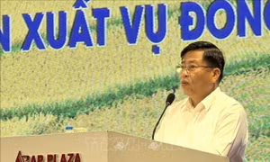 Hòa Bình: Khôi phục sản xuất sau bão và tập trung cho vụ Đông 2024