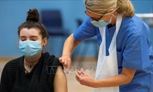 Mối liên hệ giữa nồng độ nội tiết tố nữ và nguy cơ tử vong vì COVID-19
