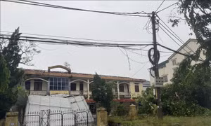 Cơ bản khắc phục sự cố trên đường dây 500 kV và 220 kV tại Nghệ An và Hà Tĩnh