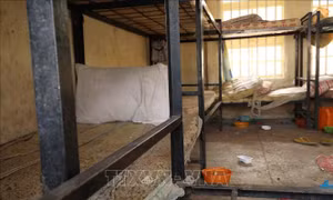 Hàng chục người dân ở Nigeria lại bị các nhóm vũ trang bắt cóc