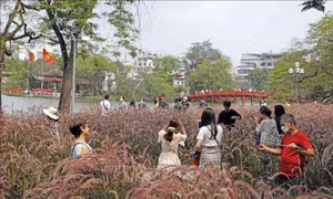 Hà Nội bổ sung tiện ích cho công viên, vườn hoa sau cải tạo