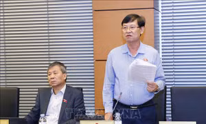 Dân sửa nhà trong ngõ vẫn biết, nhưng cao ốc vi phạm thì cơ quan chức năng không thấy