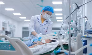 Nguy cơ gia tăng dịch bệnh trong điều kiện thời tiết ẩm thấp