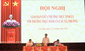 Điều động, bố trí cán bộ phù hợp với yêu cầu sau sáp nhập