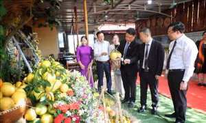 Xúc tiến tiêu thụ trên 65 nghìn tấn trái cây Lục Ngạn