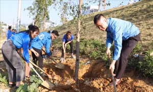 Tháng Thanh niên 2024: Xung kích, tình nguyện vì cuộc sống cộng đồng 
