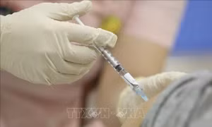Vaccine COVID-19 Covivac có mức liều 3mcg và 6mcg cho thử nghiệm trên người giai đoạn 2