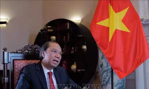Ngoại giao Việt Nam - từ mở đường đến kiến tạo nguồn lực phát triển trong kỷ nguyên mới