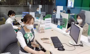 Đề xuất đưa tài chính xanh vào dự thảo Luật các Tổ chức tín dụng (sửa đổi)