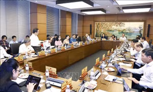 Quốc hội thảo luận tổ về kết quả thực hiện kế hoạch phát triển KT-XH năm 2024