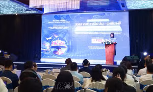 Chuyển đổi logistics thúc đẩy xuất khẩu hàng hoá sang thị trường EU