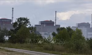CEO Rosatom lên tiếng về tình hình nhà máy điện hạt nhân Zaporizhzhia