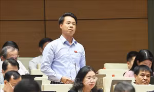Tránh lợi dụng chính sách để hợp thức hóa hành vi vi phạm