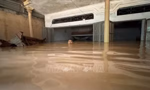 Ảnh hưởng bão số 5: Mưa lũ, nước sông Mã dâng cao, nhiều nhà dân chìm trong biển nước