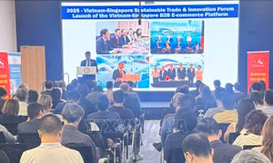 Mở ra không gian hợp tác chiến lược mới giữa Việt Nam - Singapore