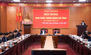 Thái Bình: Yêu cầu các cơ quan, đơn vị giảm 20% đầu mối trở lên