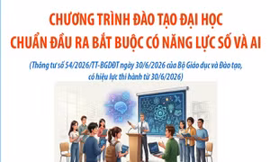 Chương trình đào tạo đại học: Chuẩn đầu ra bắt buộc có năng lực số và AI