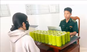 Bộ đội Biên phòng Cà Mau bắt nhiều vụ vi phạm khu vực biên giới biển