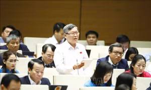 Thu nhập của công chức, viên chức phải trên cơ sở giá trị, hiệu quả công việc