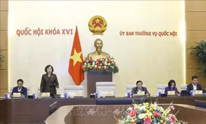 Phiên họp Ủy ban Thường vụ Quốc hội: Rà soát quy định ngưỡng doanh thu miễn thuế với hộ kinh doanh