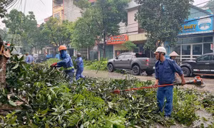 Sửa quy định về bộ máy quản lý và điều hành Quỹ phòng, chống thiên tai các cấp