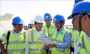Mở rộng đầu tư vào cảng Cái Mép Hạ để phát triển kinh tế biển TP Hồ Chí Minh