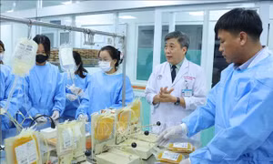Hạnh phúc khi 'nghề chọn người'