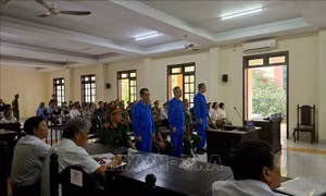 Tuyên án các bị cáo trong vụ sai phạm tại Trường Năng khiếu Thể dục thể thao Bến Tre