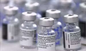 Pfizer xin cấp phép sử dụng vaccine cho trẻ từ 5-11 tuổi tại Canada