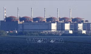 IAEA: Nguồn điện cho nhà máy hạt nhân Zaporizhzhia đã được khôi phục