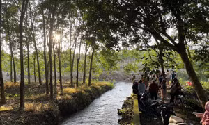 Giảm thiểu nguy cơ xâm hại trẻ em và tai nạn thương tích