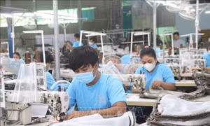 Nhiều doanh nghiệp tại Trà Vinh gặp khó khăn
