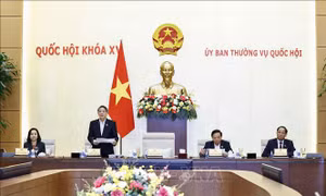 Cần chính sách vượt trội trong đầu tư Dự án đường sắt tốc độ cao Bắc - Nam