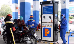 Quỹ bình ổn giá xăng dầu Petrolimex tăng lên thành 2.118 tỷ đồng