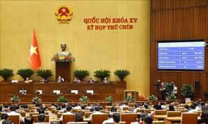 Tinh gọn bộ máy: Cần làm mới cả 'chất' và 'lượng'