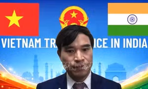 Việt Nam - Ấn Độ hướng tới hợp tác 'cùng thắng' trong ngành thủy sản