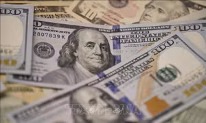 Chi nhánh Fed tại New York tăng cường 'bơm' tiền vào thị trường tài chính