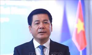 Việt Nam và Timor Leste tăng cường kết nối hợp tác thương mại, đầu tư 