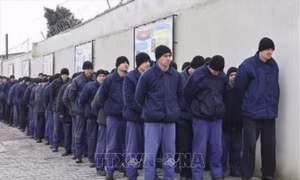 Nga và Ukraine tiến hành đợt trao đổi tù binh đợt mới