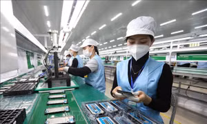 Thúc đẩy sở hữu trí tuệ trong kinh doanh - Khẳng định vị thế doanh nghiệp