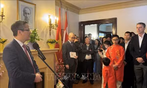 Xuân Bính Ngọ 2026: Hành trình của trái tim, đưa người con xa xứ trở về với quê hương